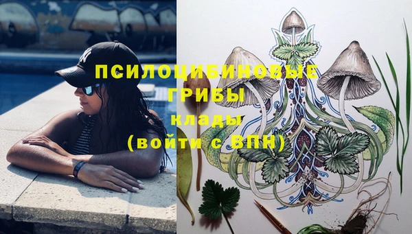 скорость Абаза