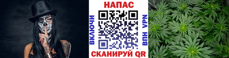 Канабис OG Kush Россошь